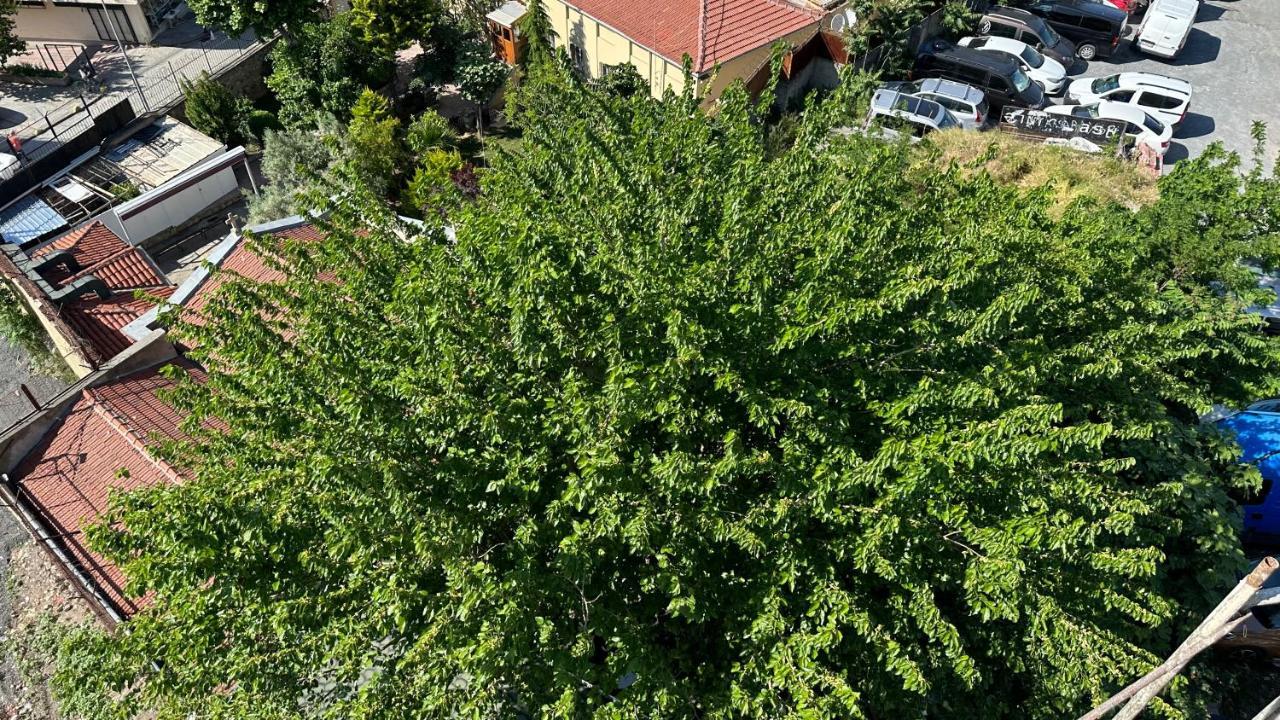Mar Boutique * Provincia di Istanbul