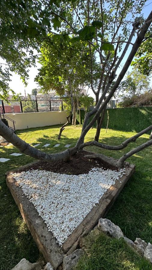 Mar Boutique Appartamento Provincia di Istanbul